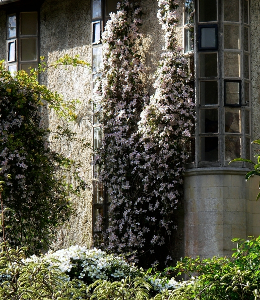 Bois des Moutiers (165) Mai 2012